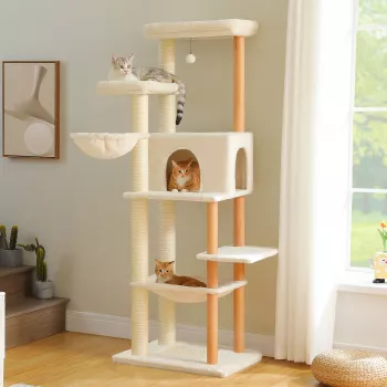 Cat Hammocks for Cats: Reddit-Style Pros, Cons, Tips